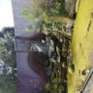 Meet your Posher, Summer